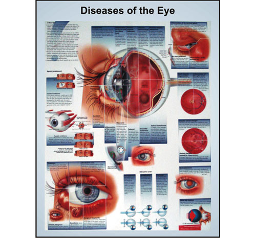 BR-274 Special Biology Charts
