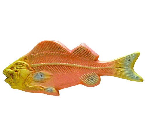 BR-169 Fish Skeleton