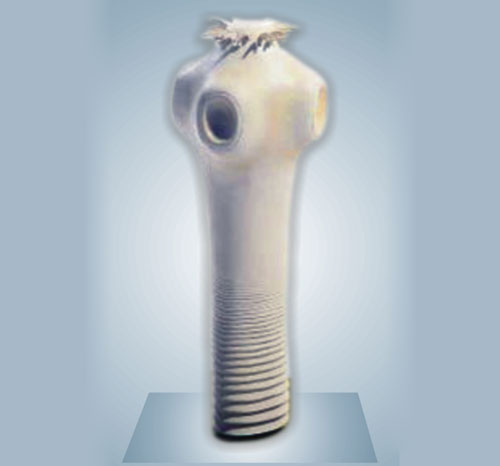 BR-178 Head of the Pork Tape Worm
