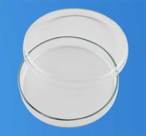Petri Dish