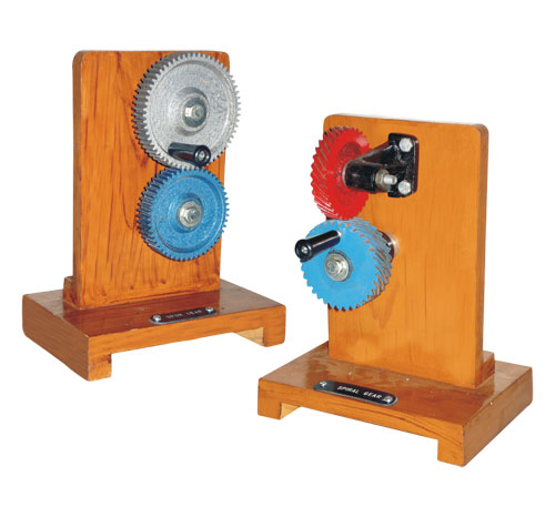 Spur Gear and Spiral Gear